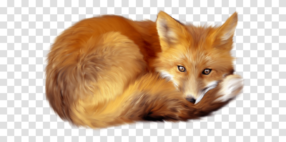 Red Fox Clip Art Fox, Dog, Pet, Canine, Animal Transparent Png