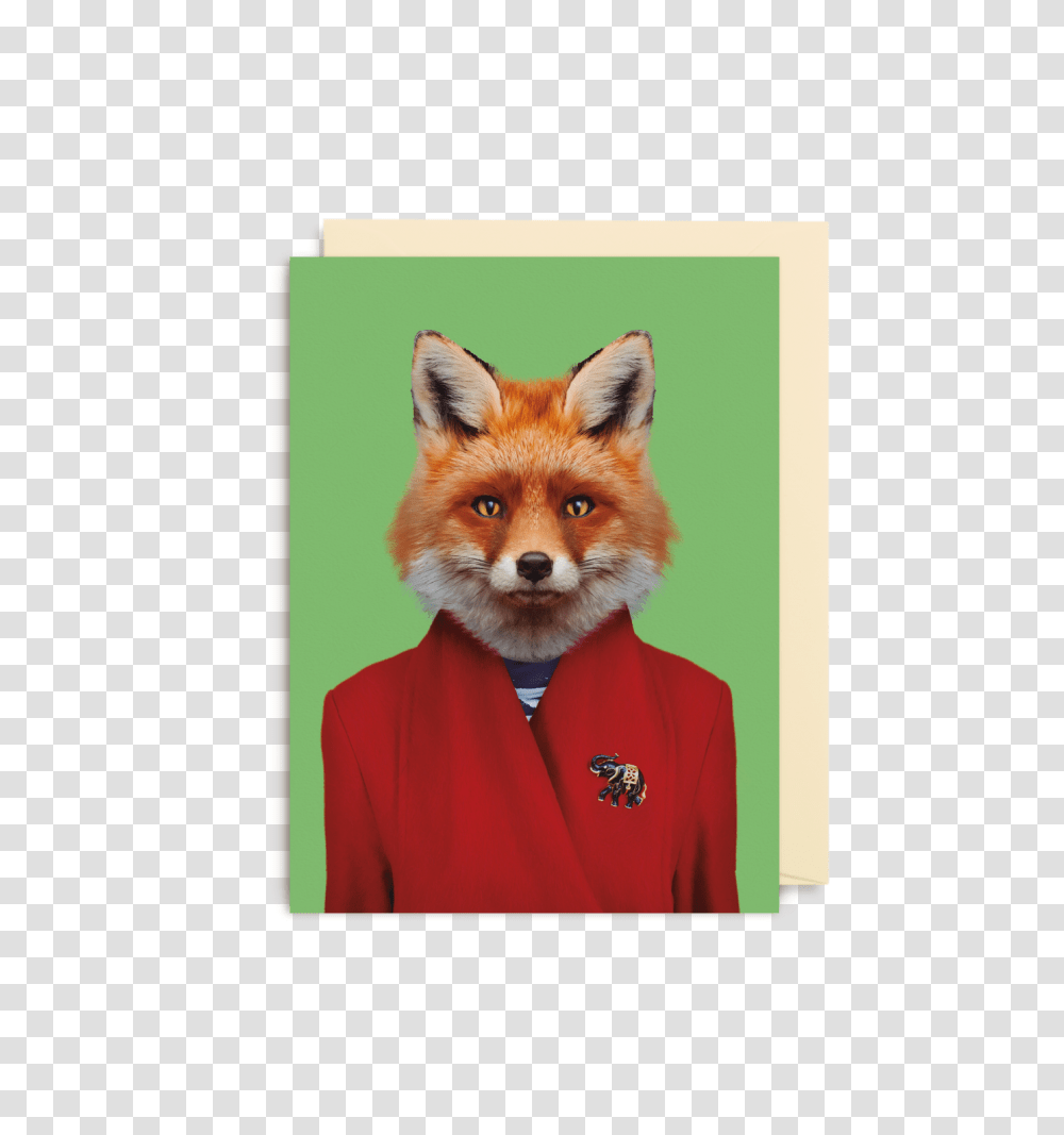 Red Fox, Wildlife, Mammal, Animal, Canine Transparent Png