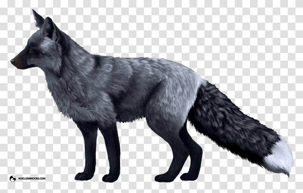 Red Foxes, Dog, Pet, Canine, Animal Transparent Png
