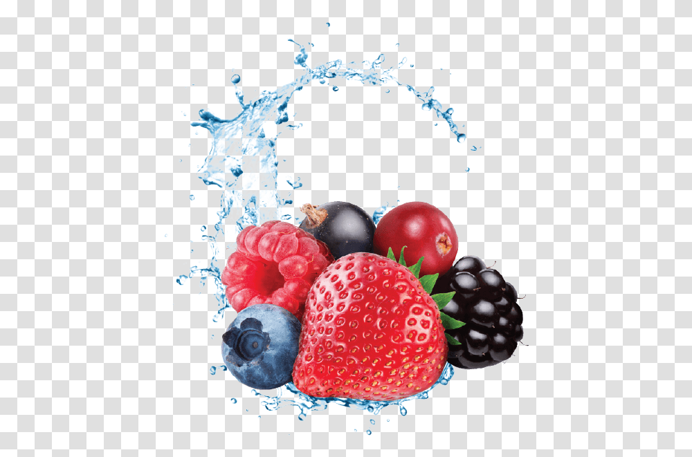 Red Fruits Capella Harvest Berry, Plant, Food, Blueberry, Grapes Transparent Png