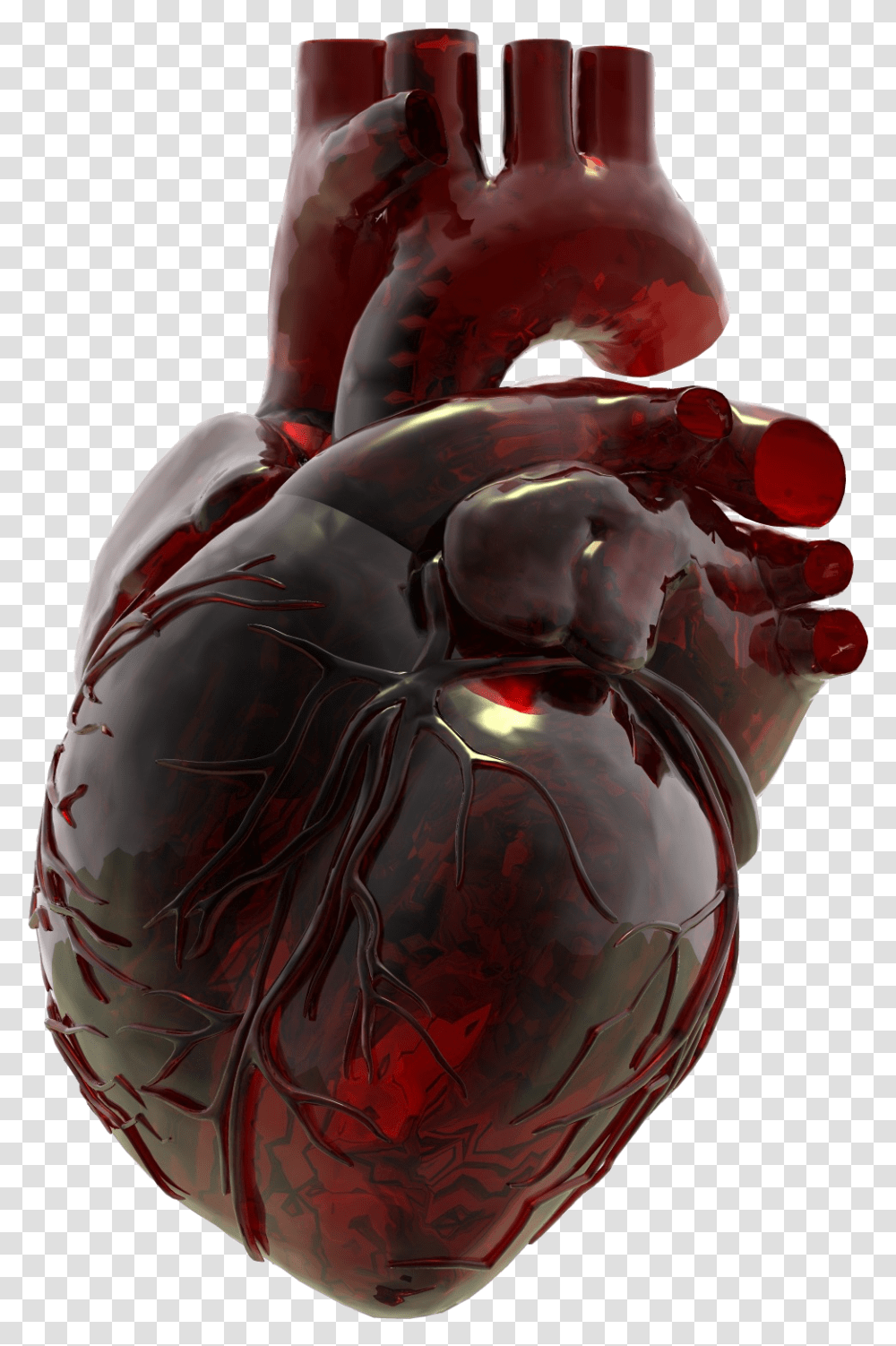 Red Glass Heart Art Human Anatomical Heart Glass Jar, Helmet, Clothing, Plant, Beverage Transparent Png
