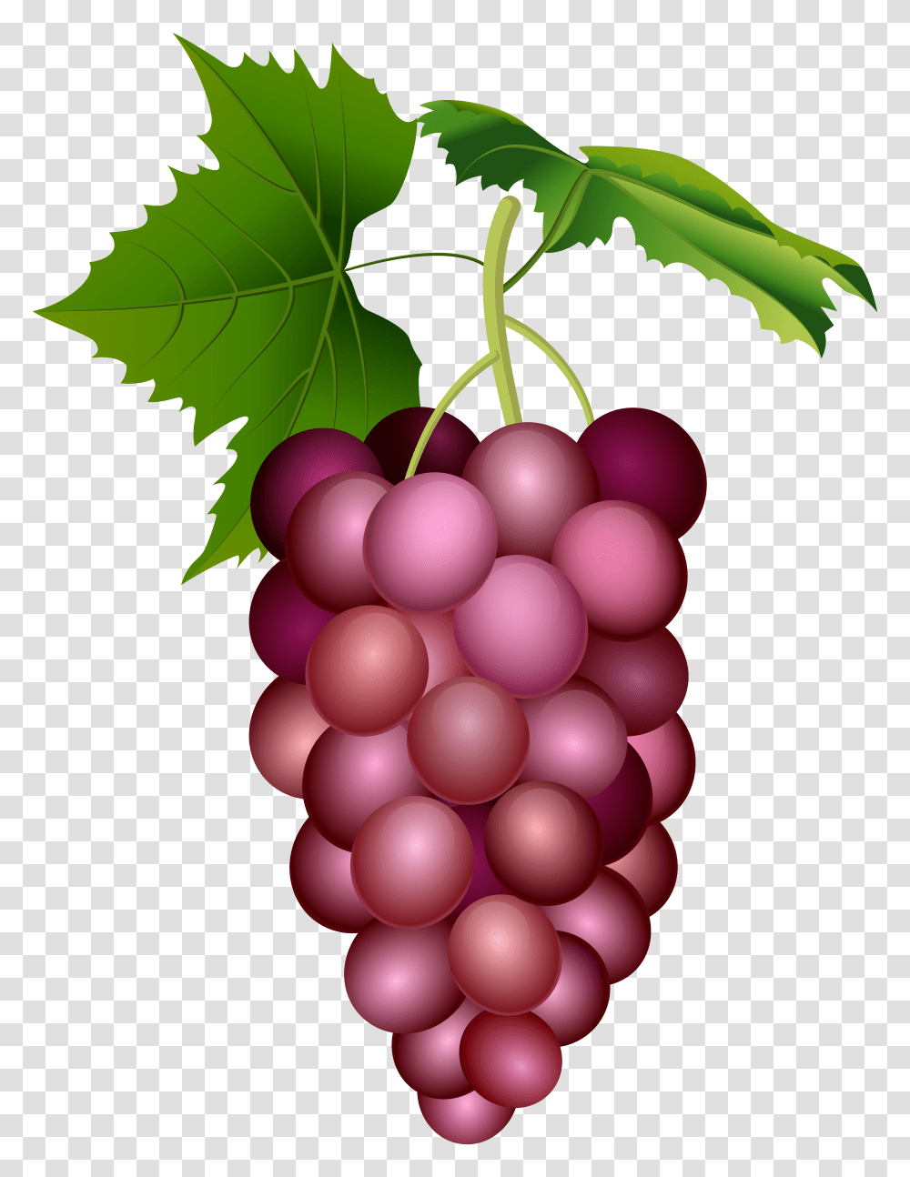 Red Grape Clip Art Transparent Png