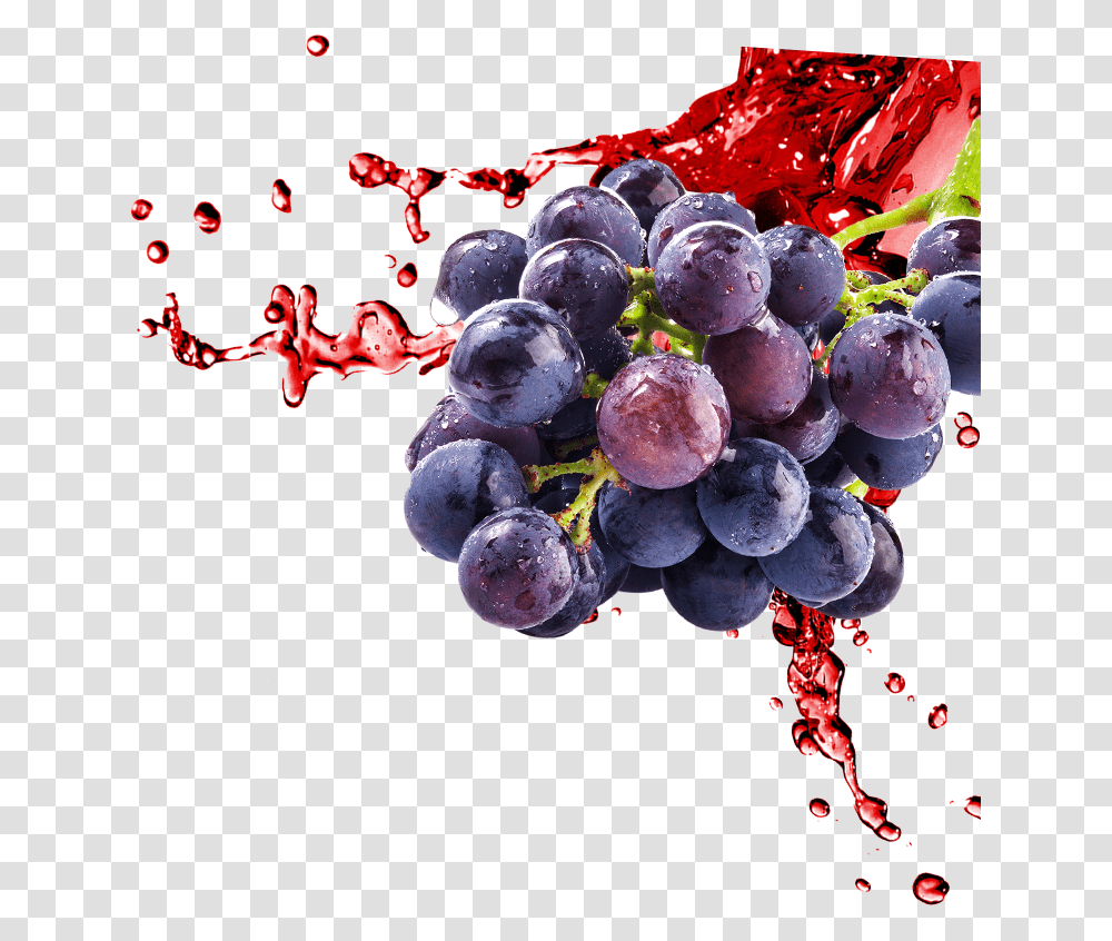 Red Grape Liqui Fruit Grape Juice Splash, Plant, Grapes, Food, Blueberry Transparent Png