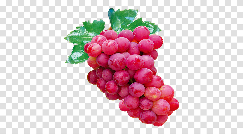 Red Grapes Red Grapes, Plant, Fruit, Food Transparent Png