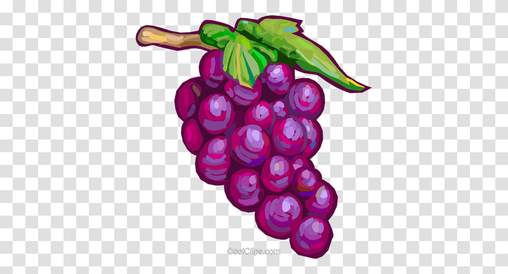 Red Grapes Royalty Free Vector Clip Art Illustration, Plant, Fruit, Food Transparent Png
