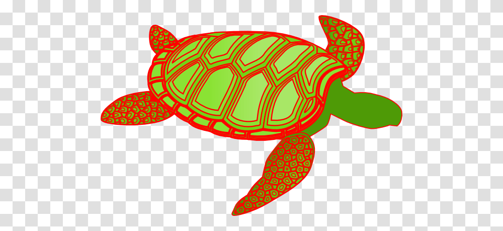 Red Green Turtle Clip Arts For Web, Sea Life, Animal, Reptile, Tortoise Transparent Png