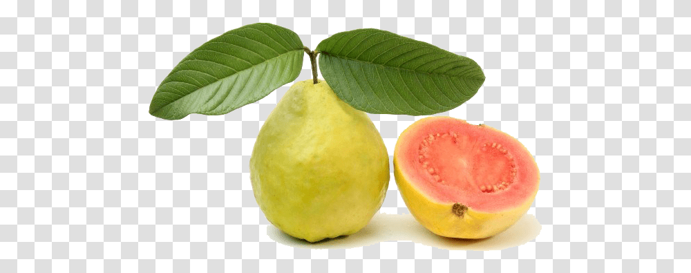 Red Guava Image Guava Pink, Plant, Fruit, Food, Tennis Ball Transparent Png