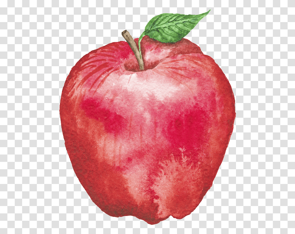 Red Hand Drawn Cartoon Fruit Mcintosh, Plant, Apple, Food Transparent Png