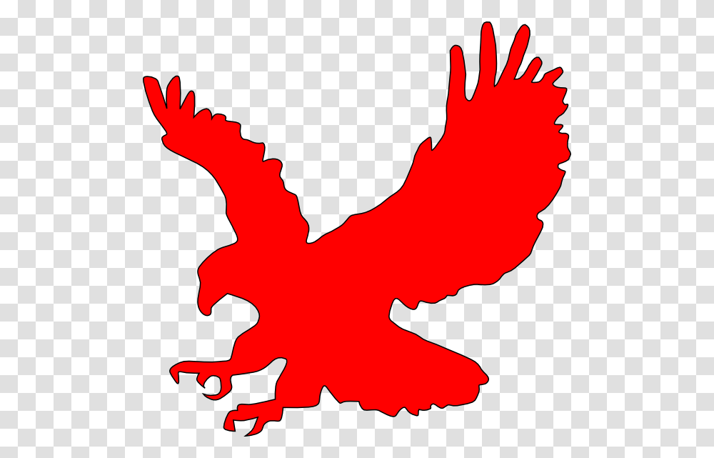 Red Hawk Clipart, Bird, Animal, Poultry, Fowl Transparent Png