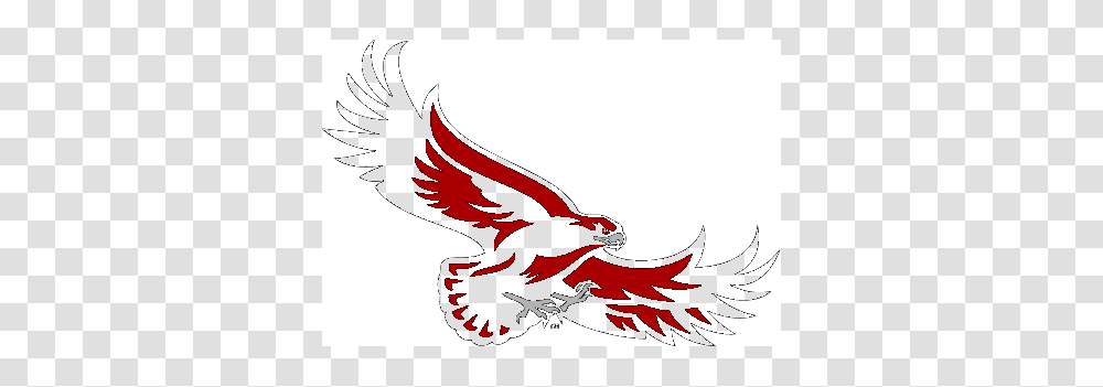 Red Hawk Cliparts Clip Art Library, Eagle, Bird, Animal, Flying Transparent Png