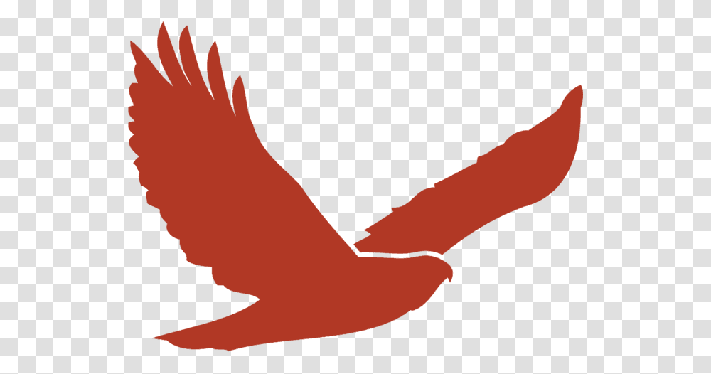 Red Hawk Golf Club, Arm, Shoreline, Water, Outdoors Transparent Png