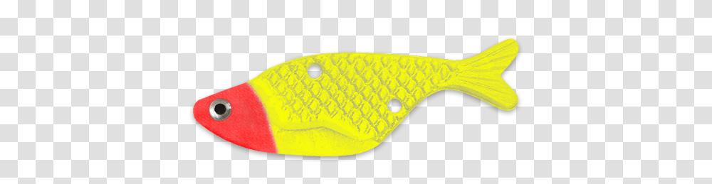 Red Head Sfc Coral Reef Fish, Outdoors, Peeps, Nature, Furniture Transparent Png