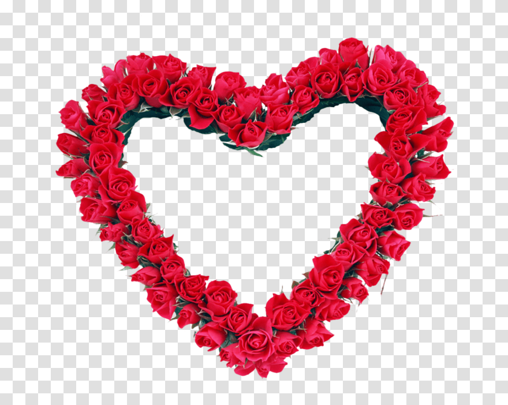 Red Heart Frame, Rose, Flower, Plant, Blossom Transparent Png