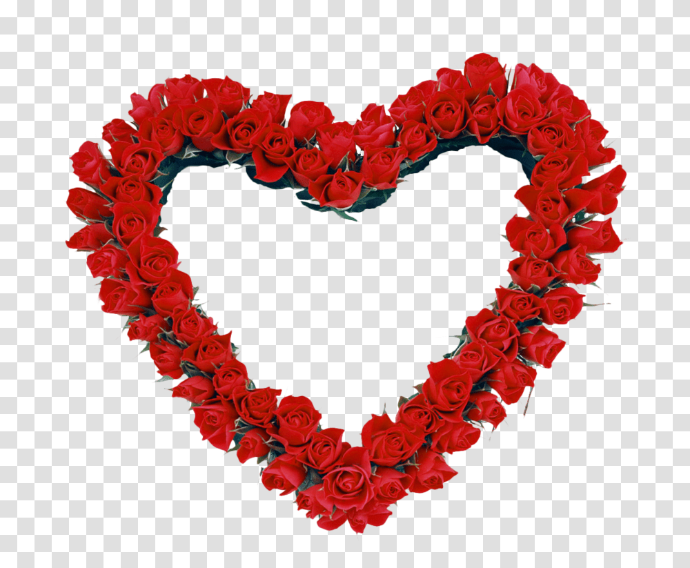Red Heart Roses Hearts Heart Frame, Petal, Flower, Plant, Blossom Transparent Png