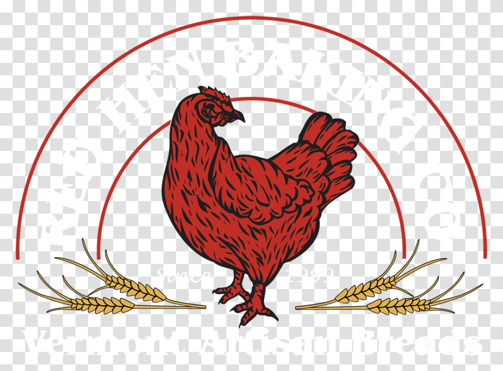 Red Hen Logo Download Red Hen Baking Co, Animal, Bird, Chicken Transparent Png