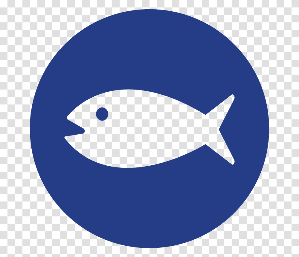 Red Herring Fallacy Icon Red Herring Icon, Surgeonfish, Sea Life, Animal, Shark Transparent Png