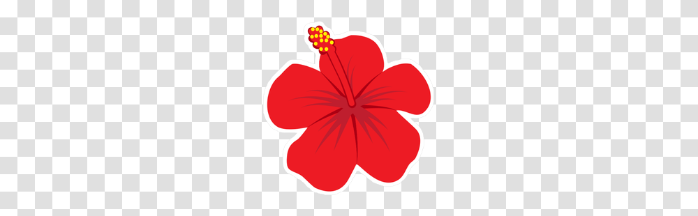 Red Hibiscus Flower Illustration Sticker, Plant, Blossom Transparent Png