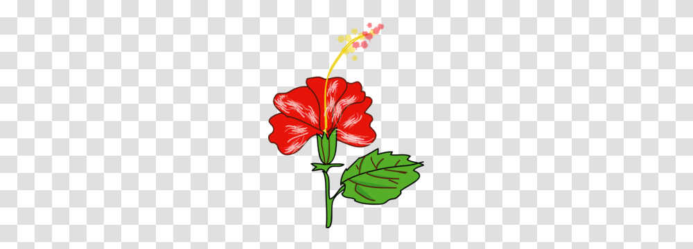 Red Hibiscus With Leaf Clip Art Clip Art Flowers, Plant, Blossom Transparent Png