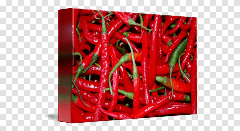 Red Hot Chili Peppers By Arden Tashjian Red Chilli, Plant, Vegetable, Food, Bell Pepper Transparent Png