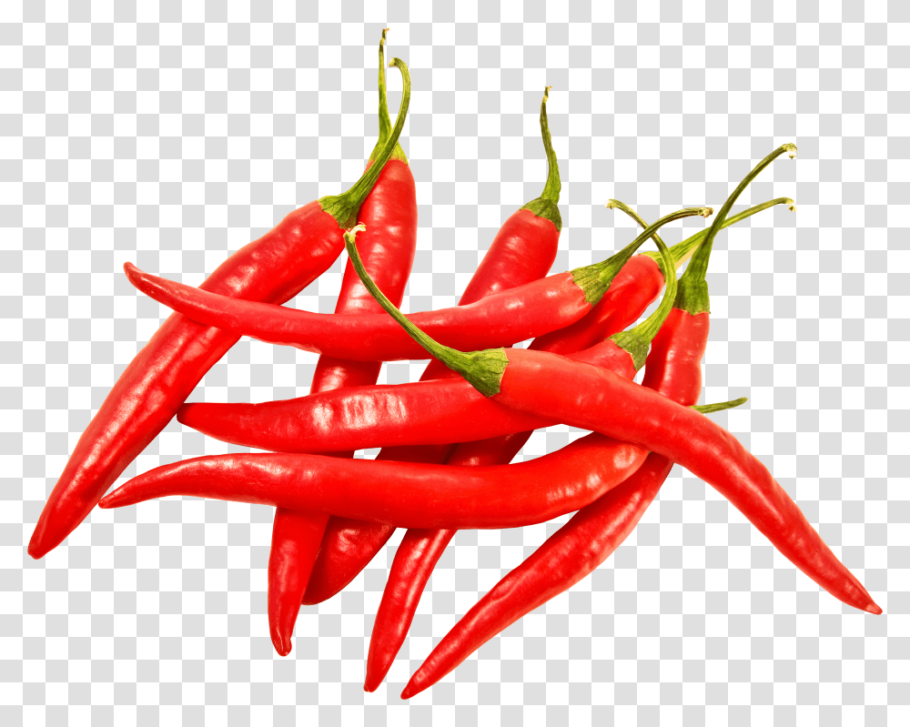Red Hot Chili Peppers Vegetable, Plant, Food, Rose, Flower Transparent Png