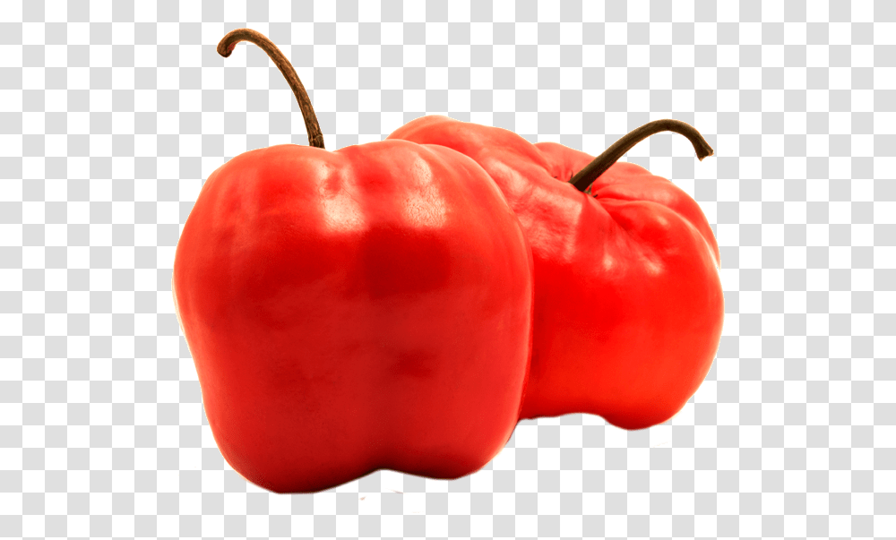 Red Hot Pepper Whole Rocoto Entero Ultra Orange Foods Rocoto, Plant, Vegetable, Bell Pepper Transparent Png