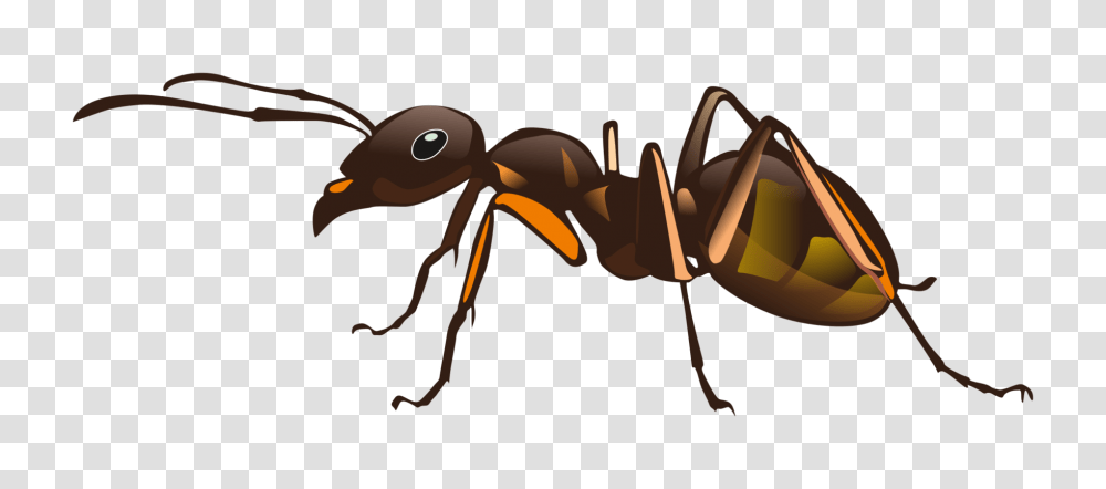 Red Imported Fire Ant Insect Pest Control, Invertebrate, Animal, Bird Transparent Png
