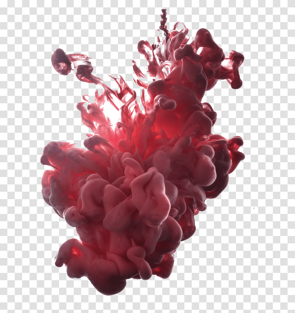 Red Ink In Water, Plant, Pattern, Flower, Blossom Transparent Png