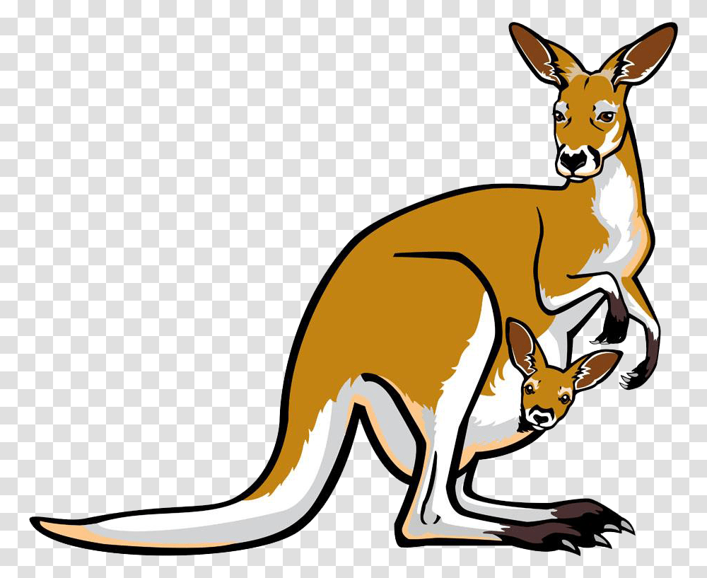 Red Kangaroo Pouch Illustration Background Kangaroo Cartoon, Mammal, Animal, Wallaby, Antelope Transparent Png