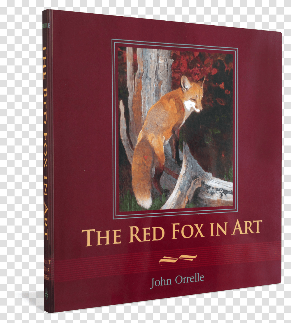 Red Kangaroo, Wildlife, Animal, Mammal, Fox Transparent Png