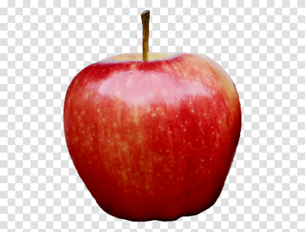 Red Kashmir Apple Free Download Background Apple, Fruit, Plant, Food Transparent Png