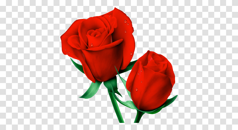 Red Large Painted Roses Clipart All Sorts Clip, Flower, Plant, Blossom, Petal Transparent Png