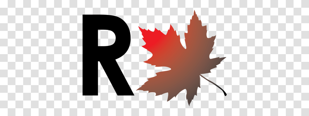 Red Leaf Accountancy Redleafaccounts Twitter Maple Leaf, Plant, Tree Transparent Png
