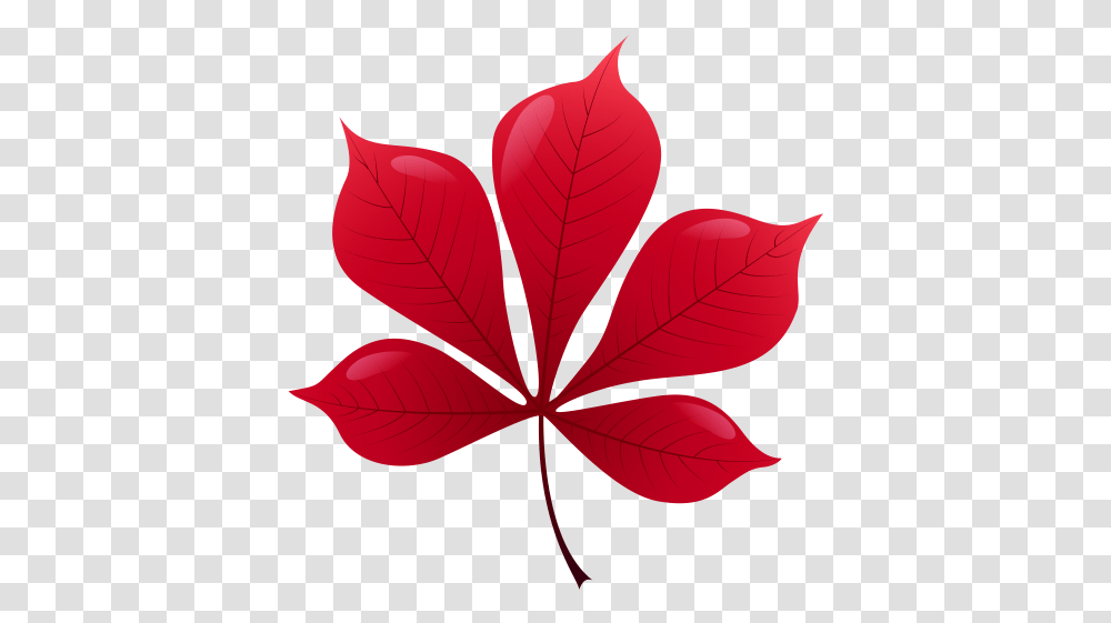 Red Leaf Clip Art Autumn Leaves Photography Red Leaf, Plant, Tree, Balloon, Maroon Transparent Png