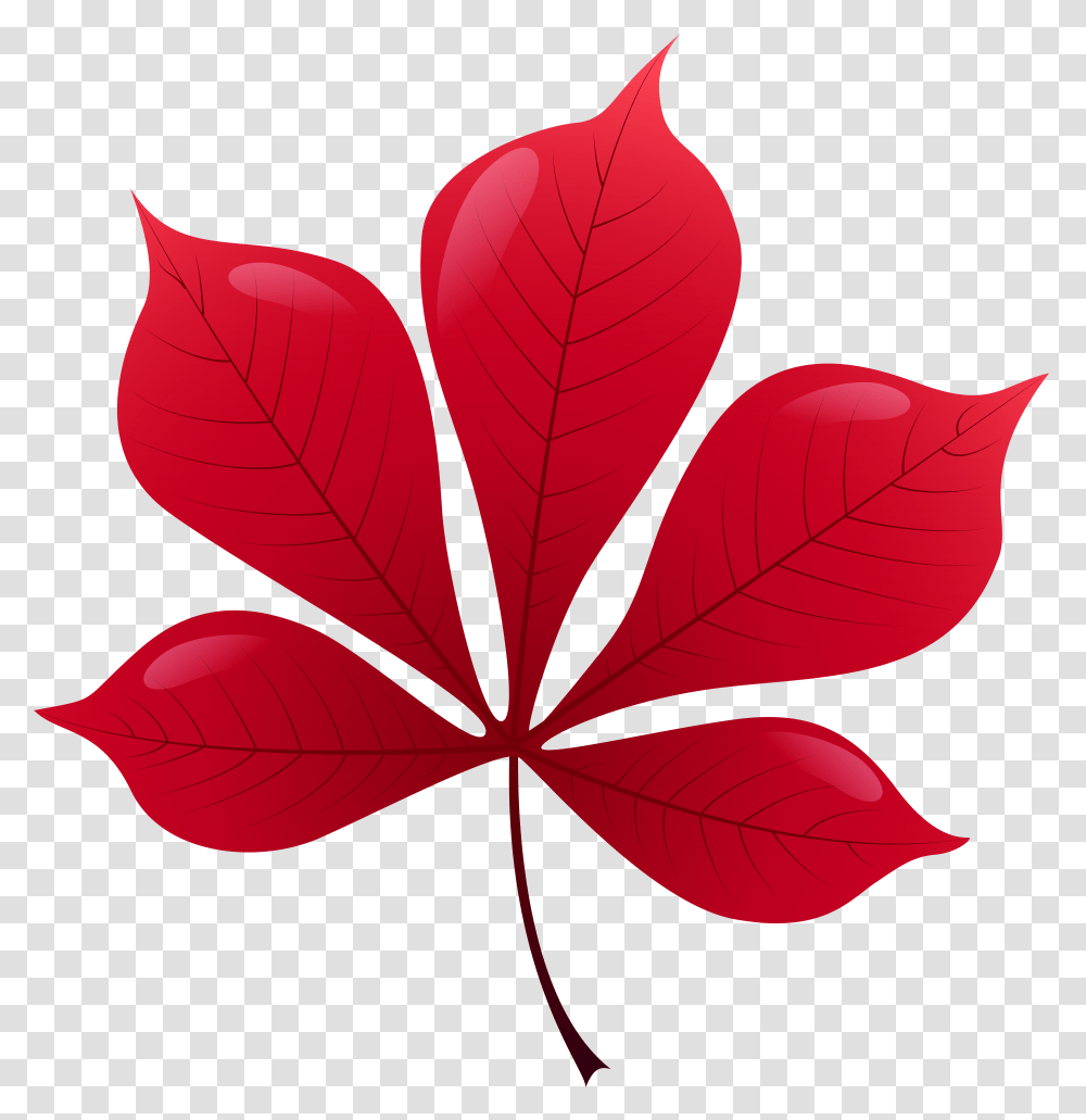 Red Leaf Clip Art, Plant, Tree, Maple Leaf Transparent Png