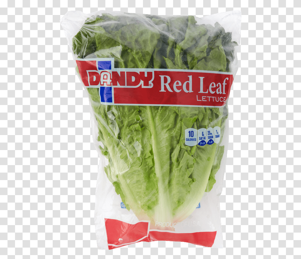 Red Leaf Lettuce Superfood, Plant, Vegetable Transparent Png