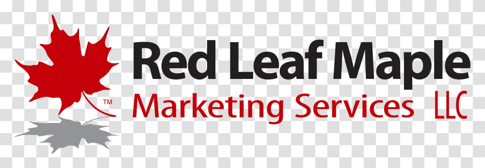 Red Leaf Maple Markting Graphics, Alphabet, Word, Label Transparent Png