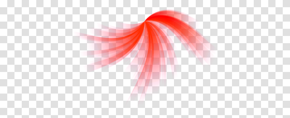 Red Light, Plant, Flower, Paper, Hibiscus Transparent Png