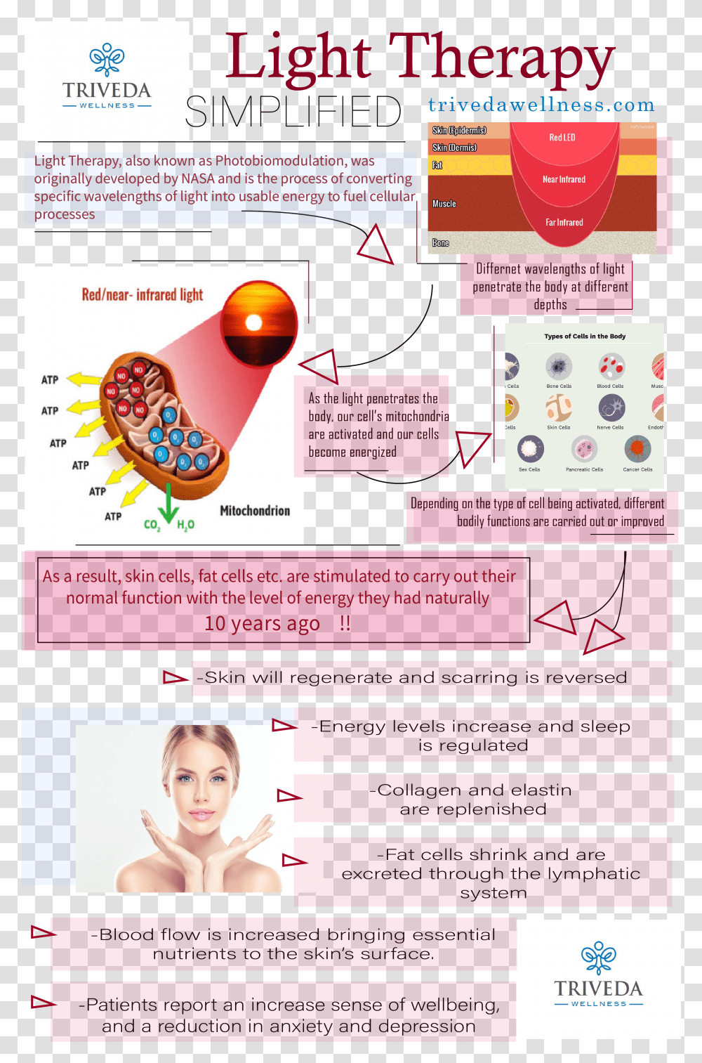 Red Light Therapy Asheville Nc Triveda Wellness Red Light Therapy Infographic, Person, Human, Advertisement, Poster Transparent Png