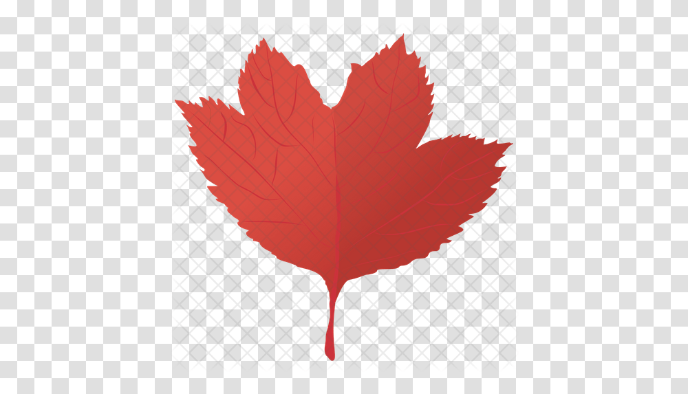 Red Maple Icon Of Flat Style Red Maple, Leaf, Plant, Maple Leaf, Tree Transparent Png