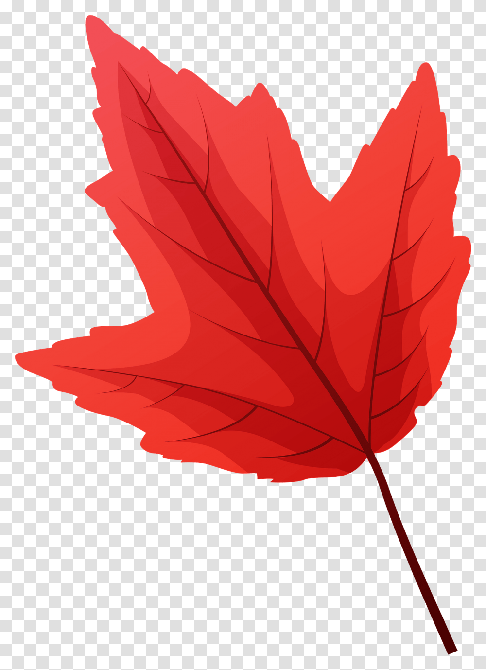 Red Maple Late Autumn Leaf Clipart Free Download Clipart Autumn Leaf, Plant, Tree, Maple Leaf Transparent Png