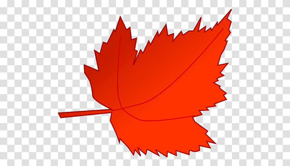 Red Maple Leaf Clip Art, Plant, Tree Transparent Png