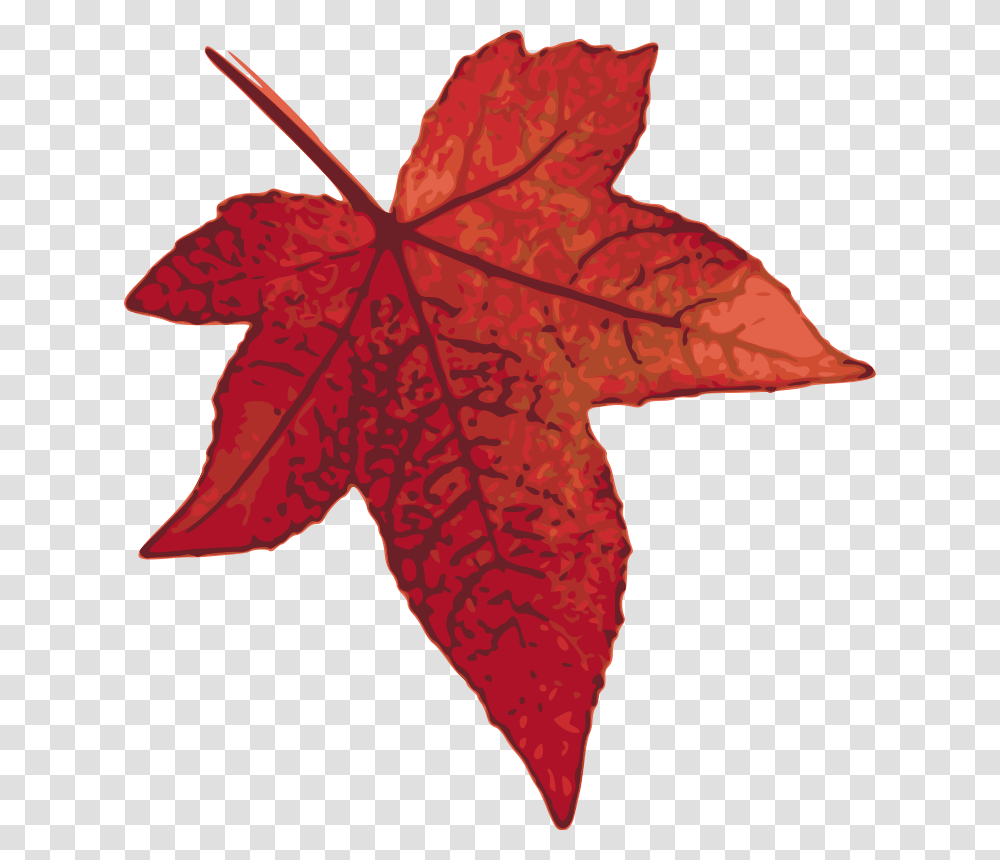 Red Maple Leaf Free Vector, Plant, Tree Transparent Png