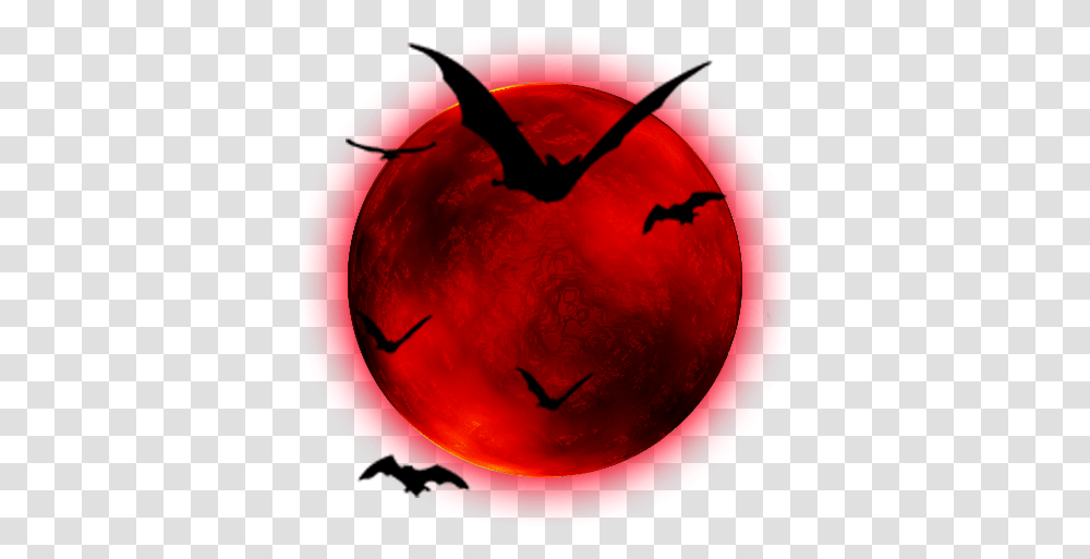 Red Moon Bats Halloween Sticker Background Halloween, Sphere, Plant, Tree, Text Transparent Png