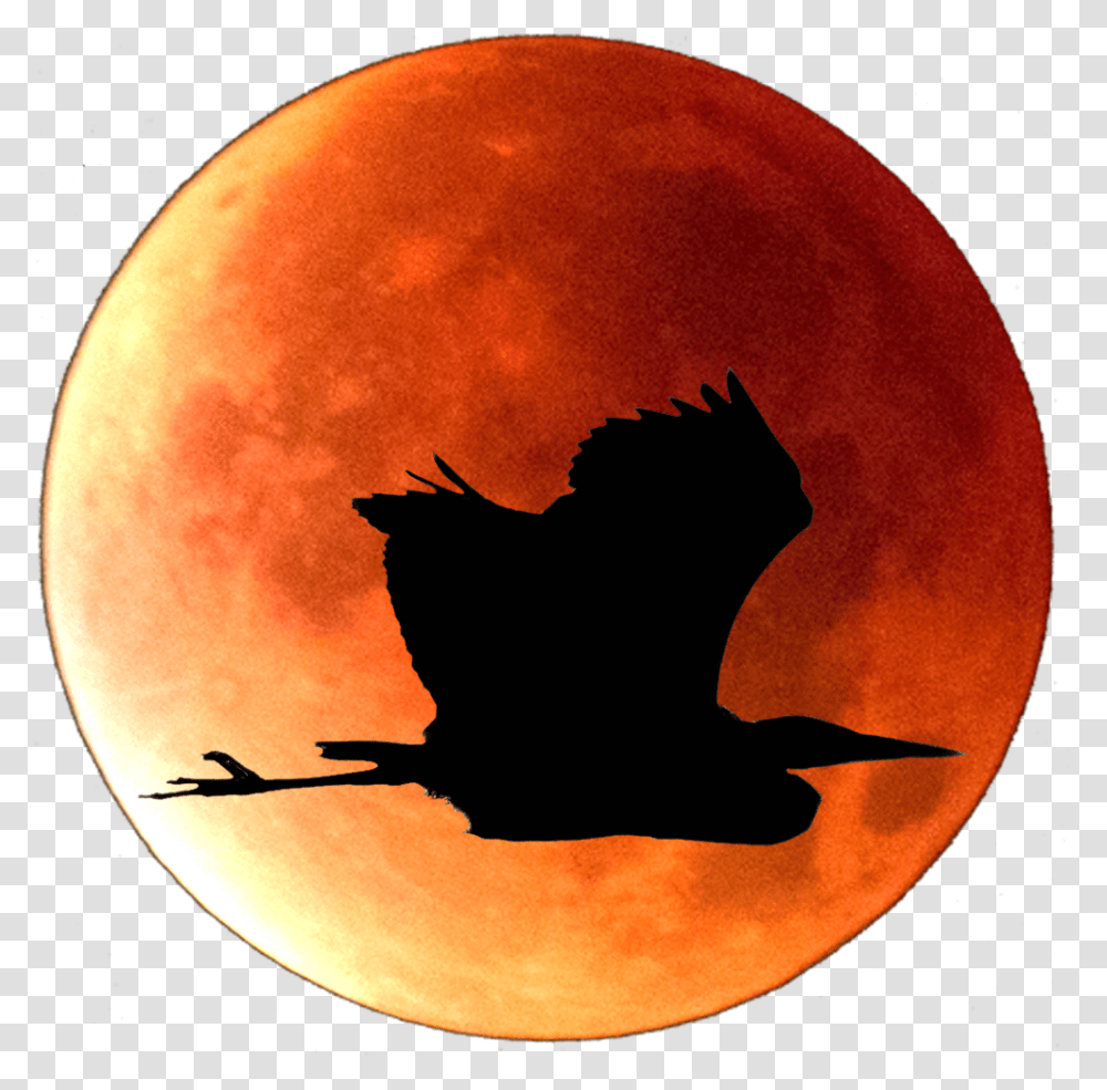 Red Moon Photo, Astronomy, Outdoors, Nature, Outer Space Transparent Png