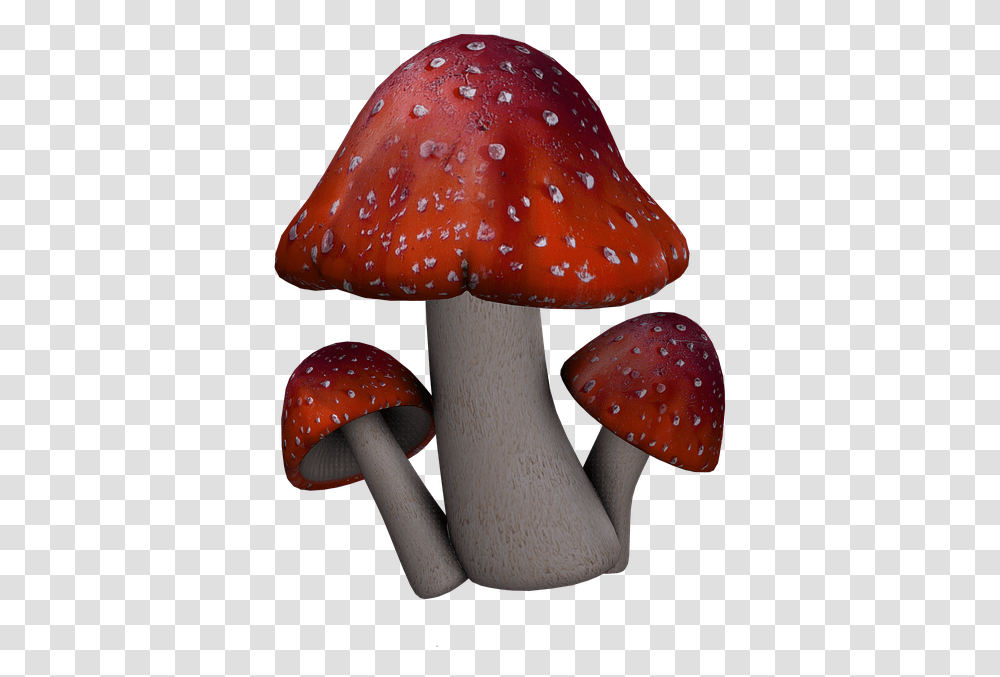 Red Mushroom Fantasy Mushrooms, Fungus, Plant, Amanita, Agaric Transparent Png