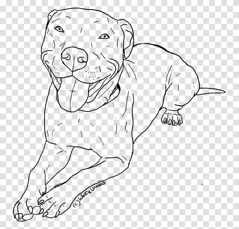 Red Nose Pitbull Drawings Cute Dog Drawings Pitbull, Gray Transparent Png