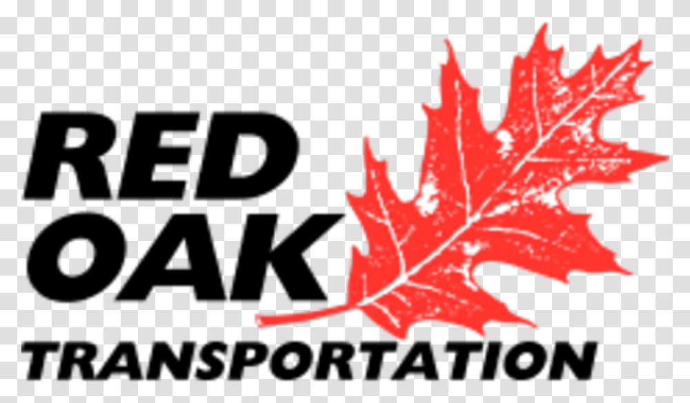 Red Oak Transportation Red Oak Transportation, Leaf, Plant, Tree, Maple Leaf Transparent Png