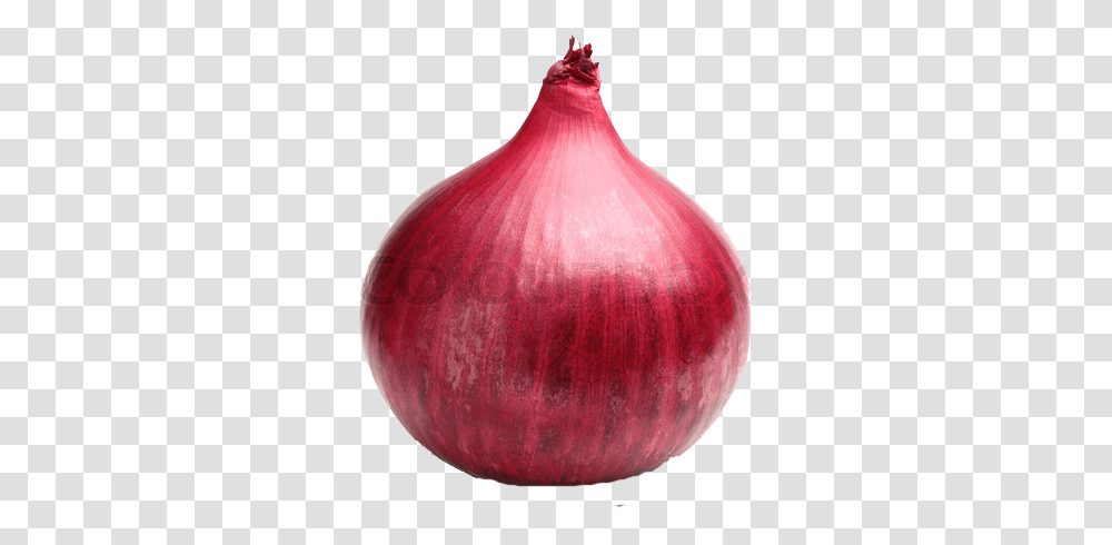 Red Onion 2 Image Red Onion, Plant, Vegetable, Food, Shallot Transparent Png