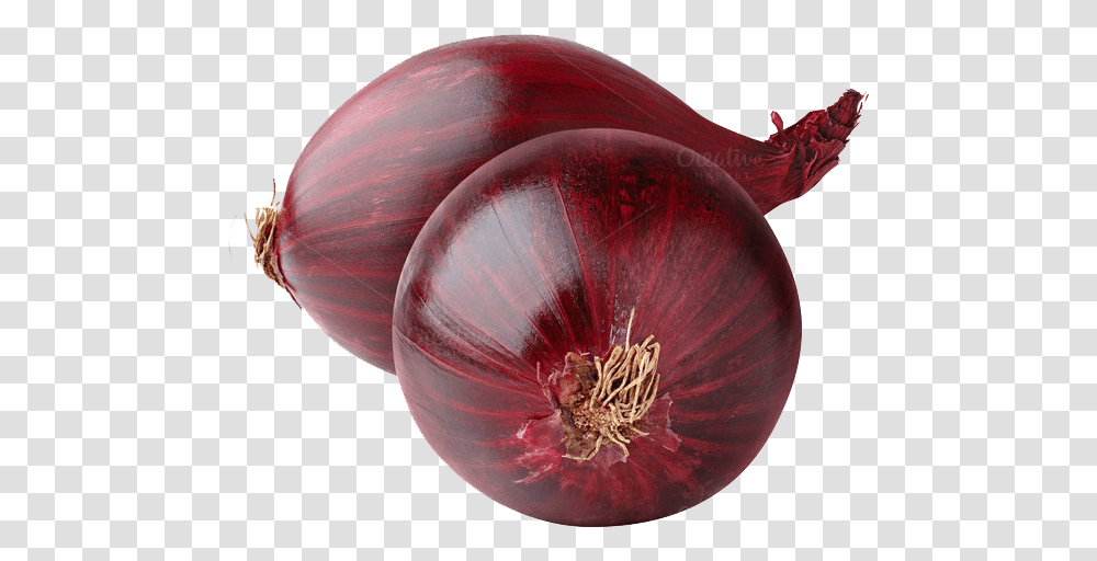 Red Onion Image Onion, Plant, Food, Vegetable, Shallot Transparent Png