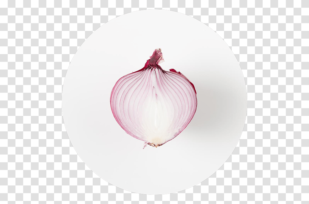 Red Onion, Plant, Lamp, Food, Vegetable Transparent Png